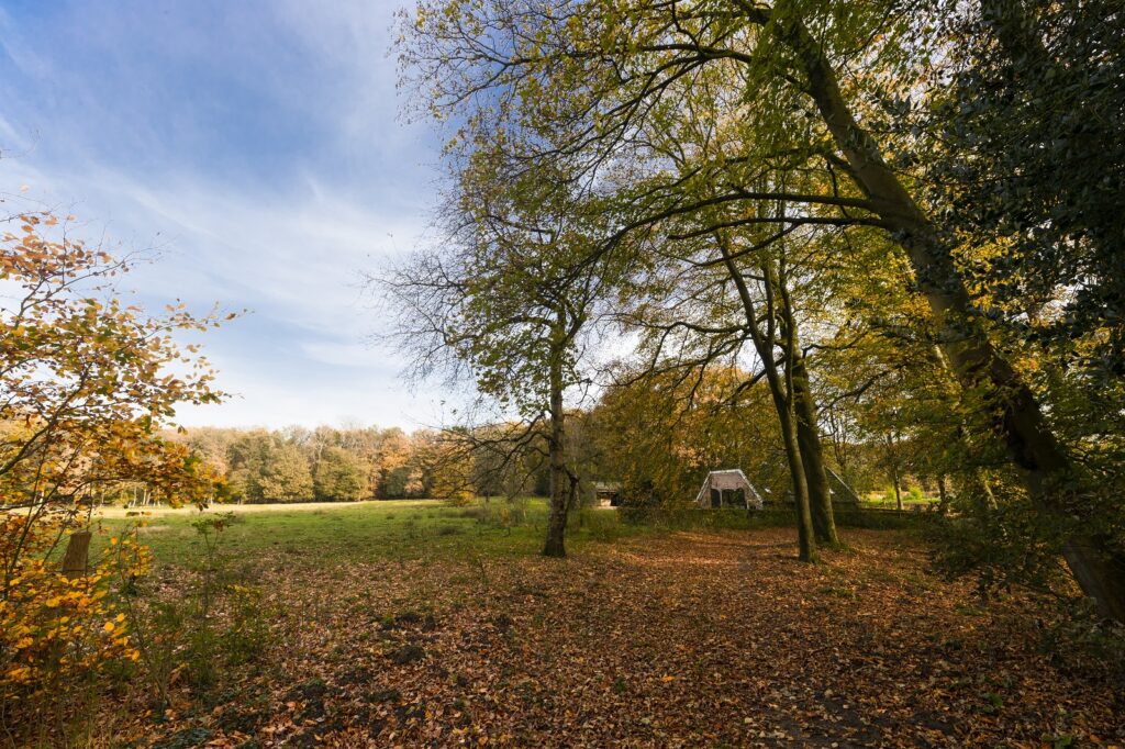 omgeving Speulderbos