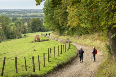 Wandelen Noorbeek: in het spoor van een bergbeek