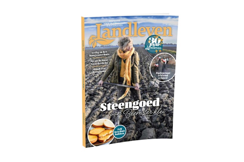 November: steengoed