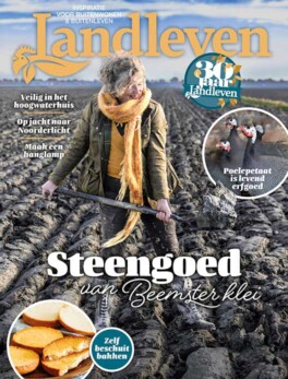 November: steengoed