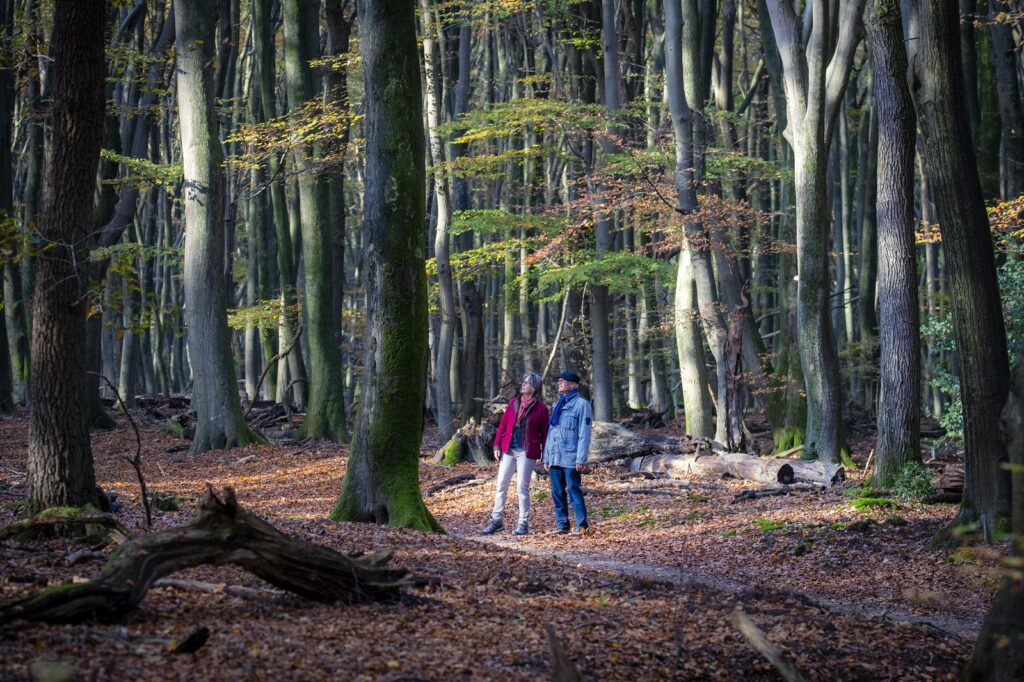 wandelaars speulderbos