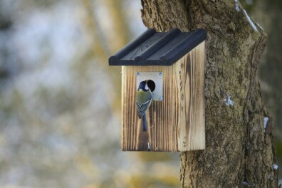 Mezenkast schoonmaken