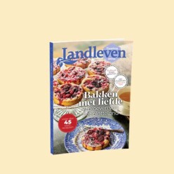 Cover special Taarten met tartelettes