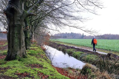 Wandeling van de maand: Trage Tocht Sint Nicolaasga