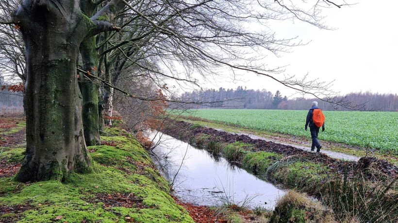 Wandeling van de maand: Trage Tocht Sint Nicolaasga