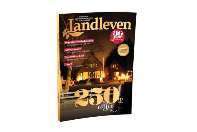 December: 250e editie