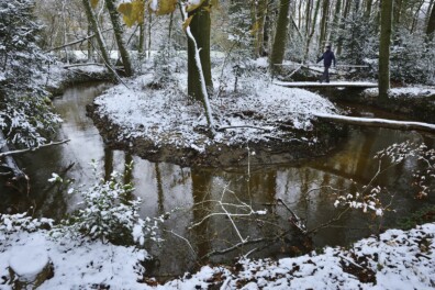 Wandelen Winterswijk: zwerven langs onbekende beken