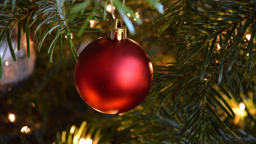Column: Kerstboom