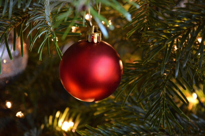 Column: Kerstboom