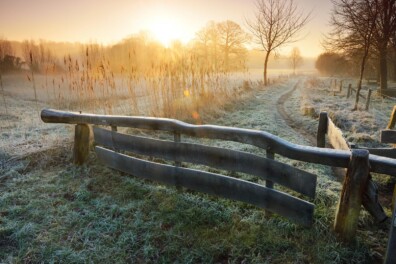 Wandelen in Twents heuvelland (video)