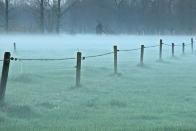 Nieuwe omheining plaatsen