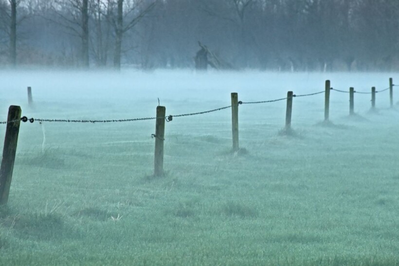 Nieuwe omheining plaatsen