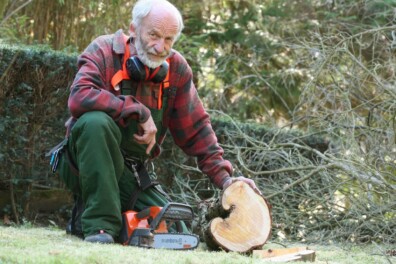 Boom zagen: hoe pak je het aan?