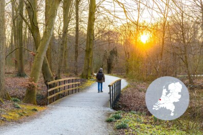 Boswachterspad Haagse Bos: een eeuwenoude stadsoase