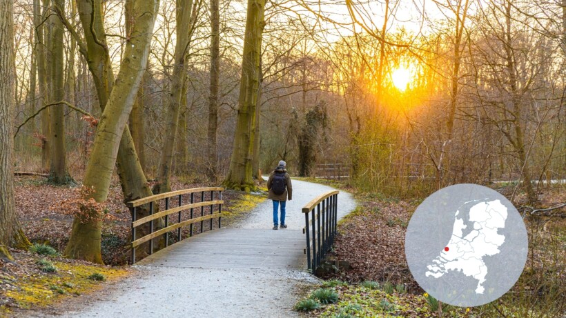 Boswachterspad Haagse Bos: een eeuwenoude stadsoase