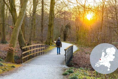 Boswachterspad Haagse Bos: een eeuwenoude stadsoase