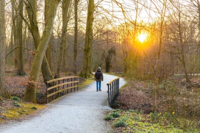 Boswachterspad Haagse Bos (video)