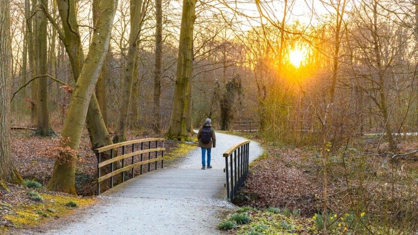 Boswachterspad Haagse Bos (video)