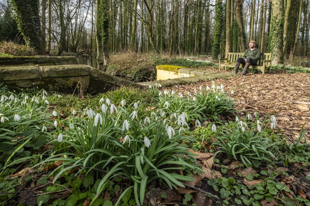 Sneeuwklokjes op buitenplaats Vaeshartelt.