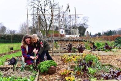 Succesvol groente telen met kinderen