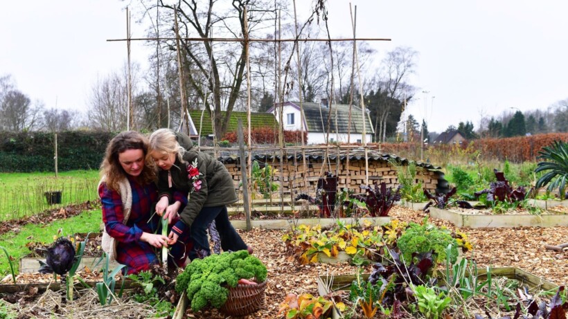 Succesvol groente telen met kinderen