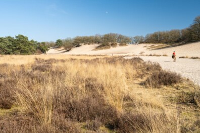 Wandelen langs de Peelrandbreuk (video)