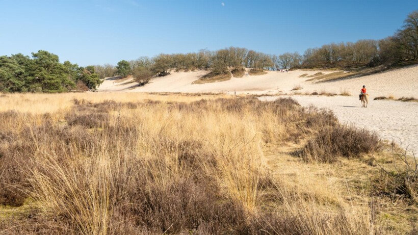 Wandelen langs de Peelrandbreuk (video)