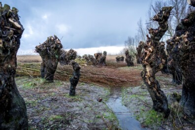 Editorial: Ontmoeting