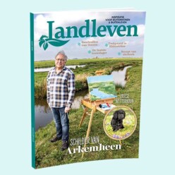 Cover Landleven maart, schilder in Arkemheen
