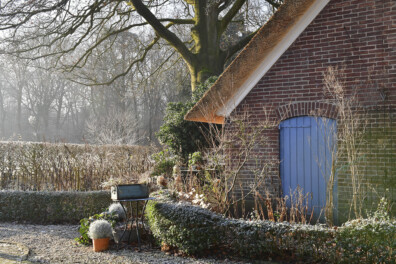 Bouwstenen voor boeiende wintertuin