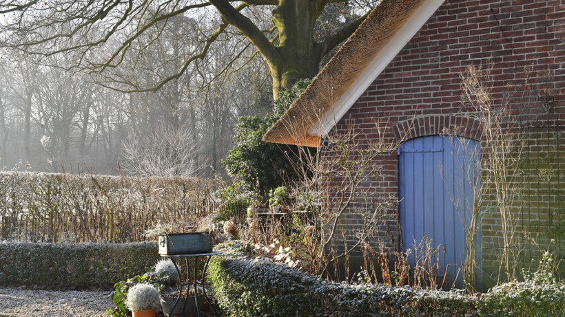 Bouwstenen voor boeiende wintertuin