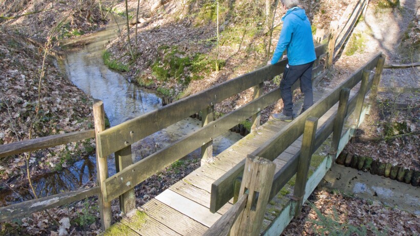 Beekprik zien langs Boswachterspad Cultuurroute ’t Leesten