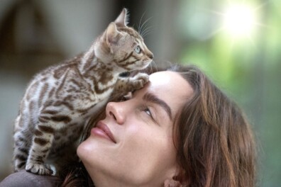 Bengaalse kat brengt leven in huis