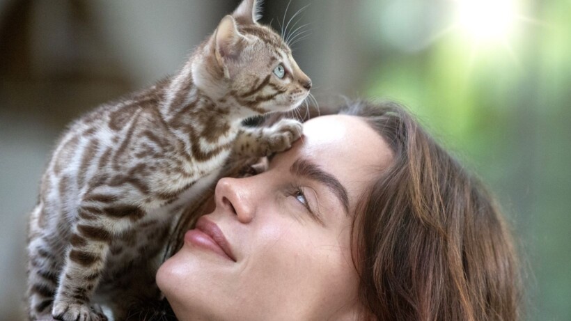 Bengaalse kat brengt leven in huis