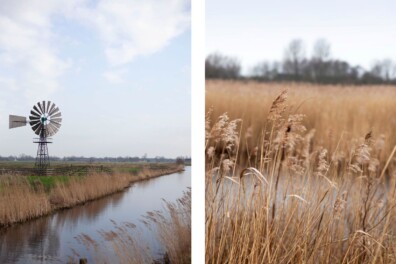 De leukste (en verrassende) tips voor een dagje in Friesland