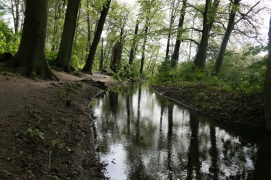 Wandeling van de maand: Beekloopje Renkum
