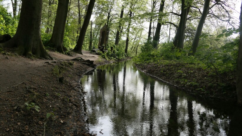 Wandeling van de maand: Beekloopje Renkum