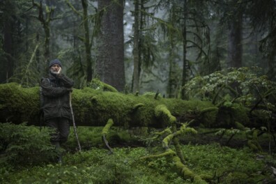 Filmmaker Vincent Munier geeft het bos het woord