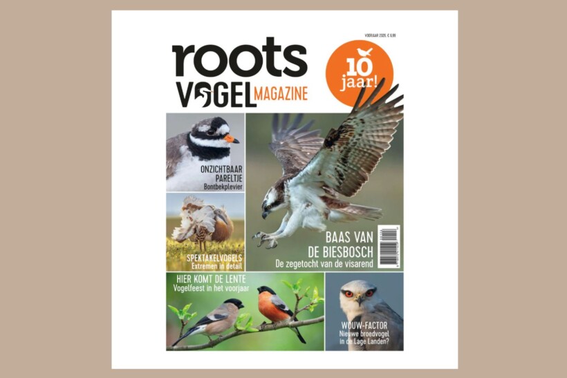 Nu verkrijgbaar: Roots Vogelmagazine Voorjaar 2026