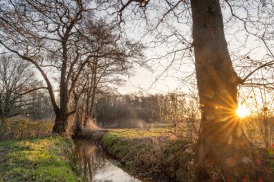 Wandelen langs de Peelrandbreuk