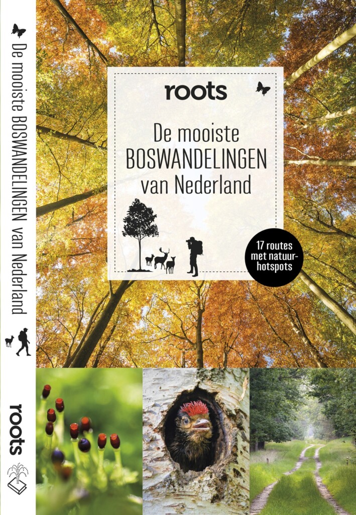 cover boswandelingen