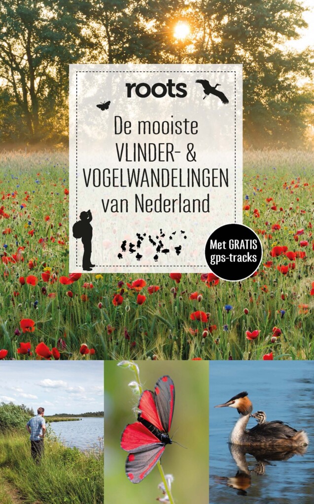 cover vogel en vlinderwandelingen
