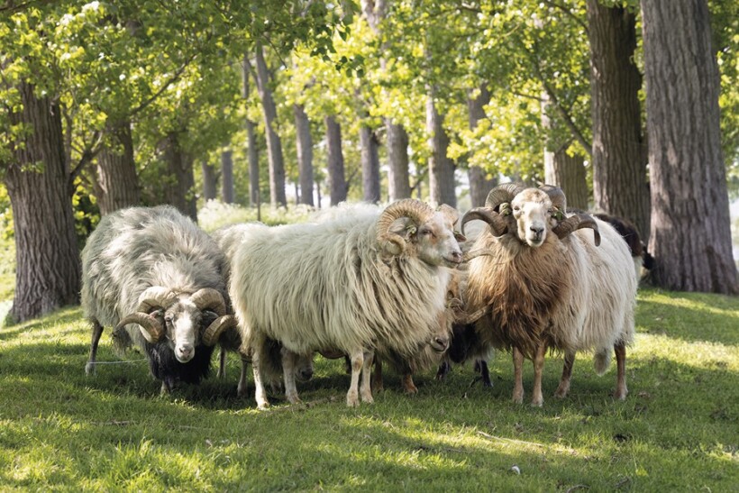 Editorial: ‘Jouw stukje’