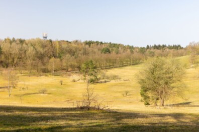 Natuurommetje Landgoed De Paltz