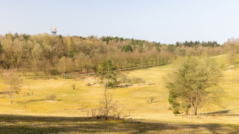 Natuurommetje Landgoed De Paltz