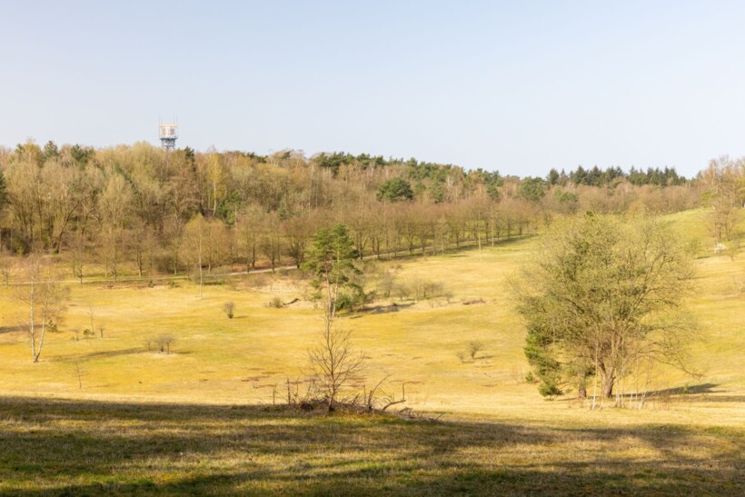 Natuurommetje Landgoed De Paltz
