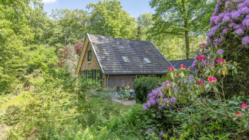 Logeren in het huis van de boswachter bij vakantiewoning Jagerstee (advertorial)