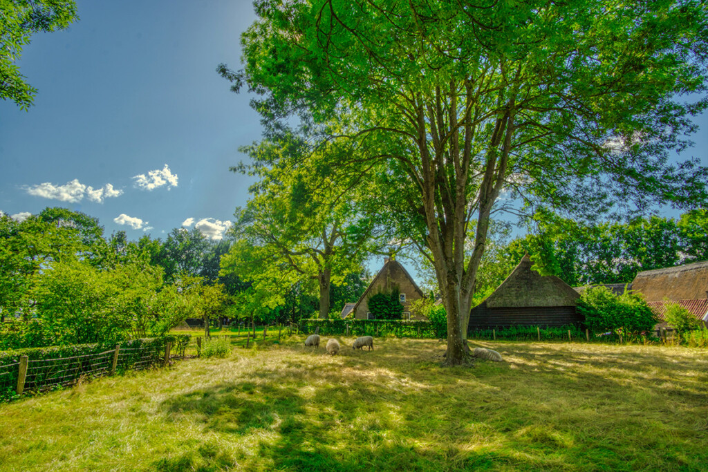 Drenthe