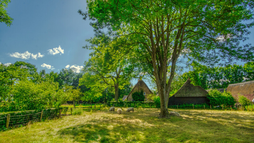 De leukste (en verrassende) tips voor een dagje in Drenthe