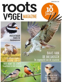Roots Vogelmagazine